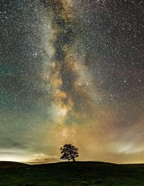 Sycamore Gap tree under the Milky Way Northumberland